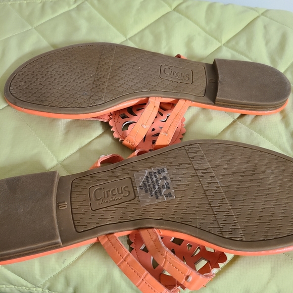 Circus by Sam Edelman Peach Flip-Flop Thing Sandal - Picture 6 of 7